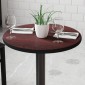 Flash Furniture XU-RD-24-MBT-GG Round Table Top with Black or Mahogany Reversible Laminate Top 24 addl-6
