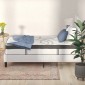 Flash Furniture CL-E230P-R-T-GG Capri Comfortable Sleep Pocket 12 Foam and Spring Mattress. Twin in a Box addl-15
