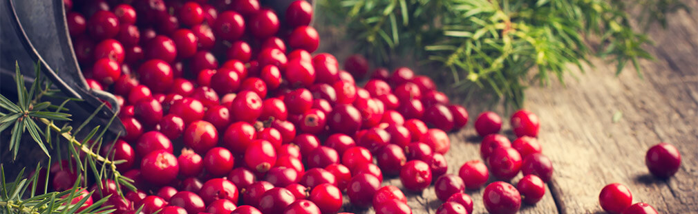 Cranberries: Beautiful, Healthful, and Versatile