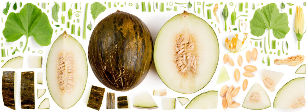 There are so many melon varieties, including watermelon and cantaloup that you can add to your menu.