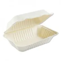 Bagasse Molded Fiber 1-Compartment White Food Containers, Hinged-Lid, 9&quot; x 6&quot; 250/Carton