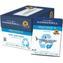 Great White 30 Recycled Print Paper, 92 Bright, 20lb, 8.5 x 11, White, 500 Sheets/Ream, 10 Reams/Carton