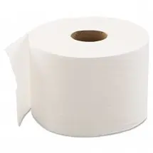 High-Capacity 2-Ply Bath Tissue, 1000 Sheets/Roll, 48 Rolls/Carton