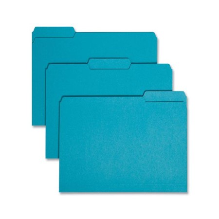 Interior File Folders, 1/3-Cut Tabs, Letter Size, Sky Blue, 100/Box